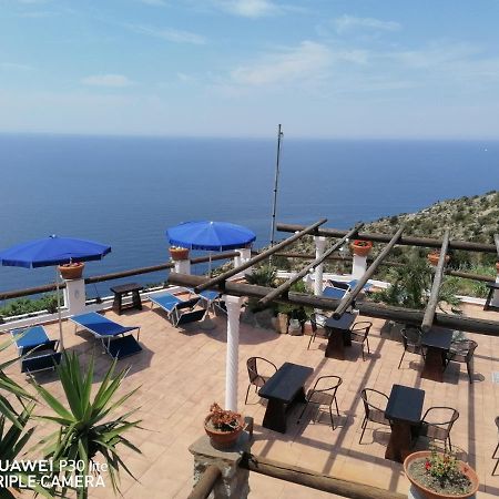 Hotel Punto Azzurro Forio di Ischia Eksteriør billede