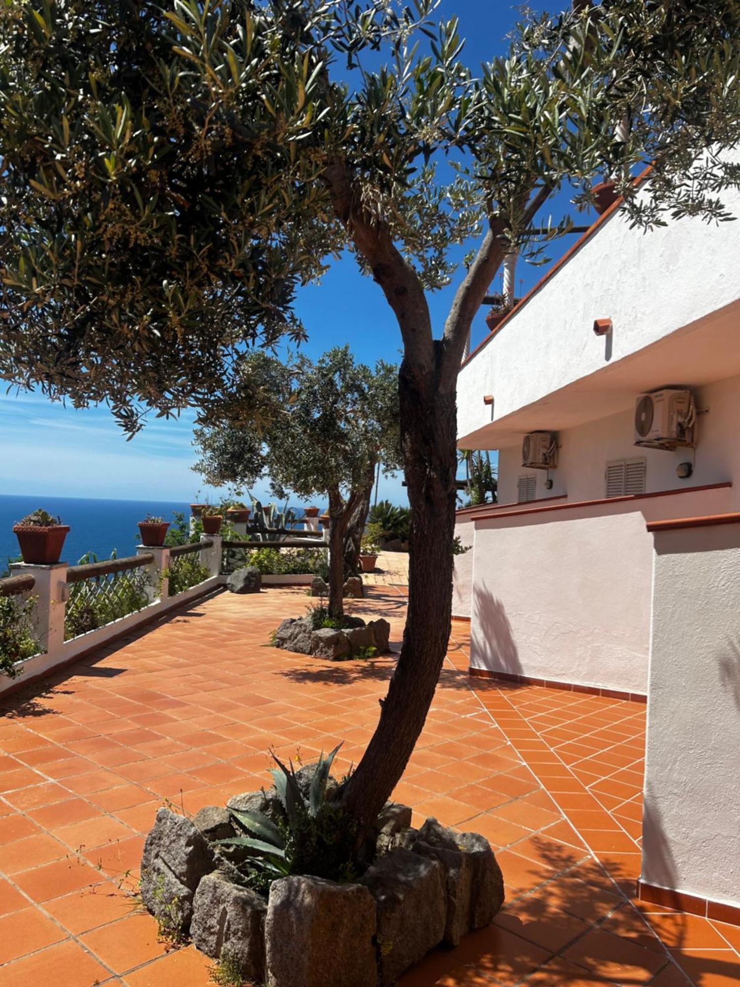 Hotel Punto Azzurro Forio di Ischia Eksteriør billede
