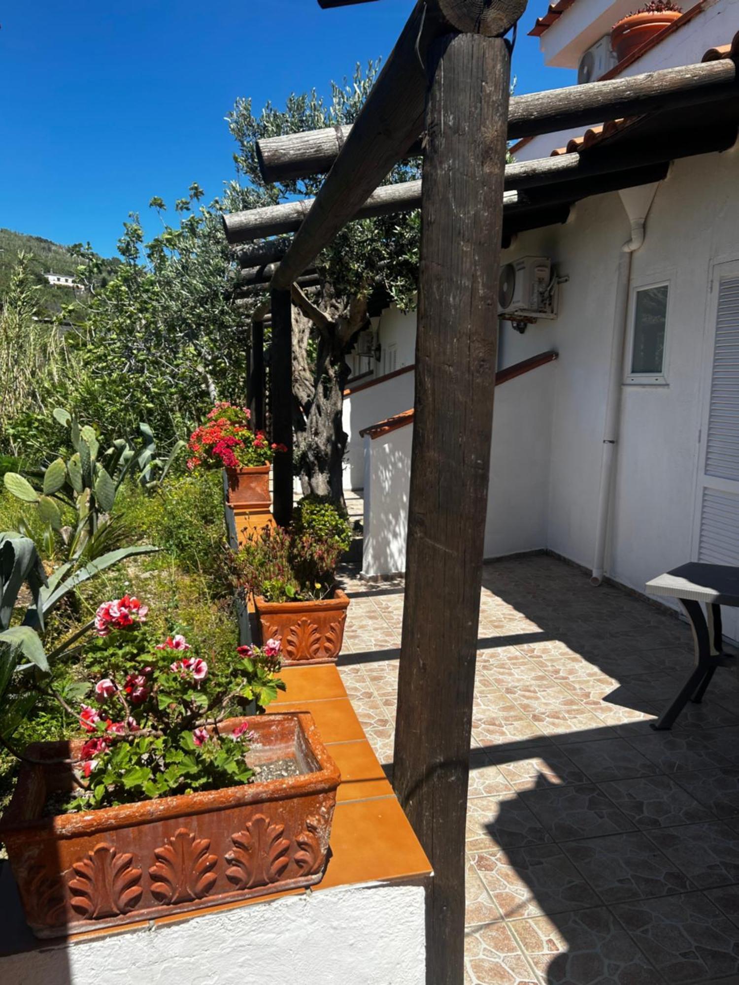Hotel Punto Azzurro Forio di Ischia Eksteriør billede