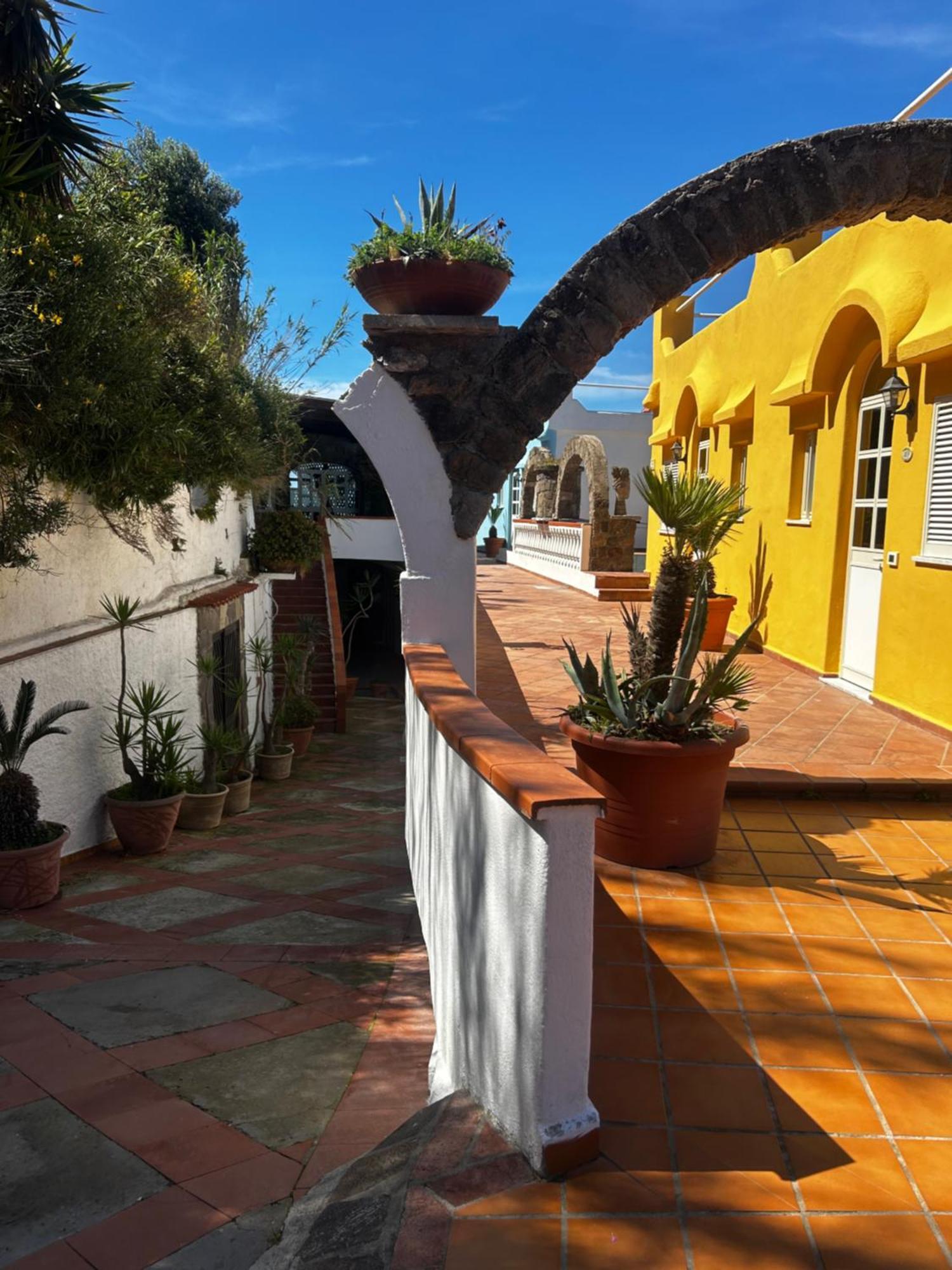 Hotel Punto Azzurro Forio di Ischia Eksteriør billede