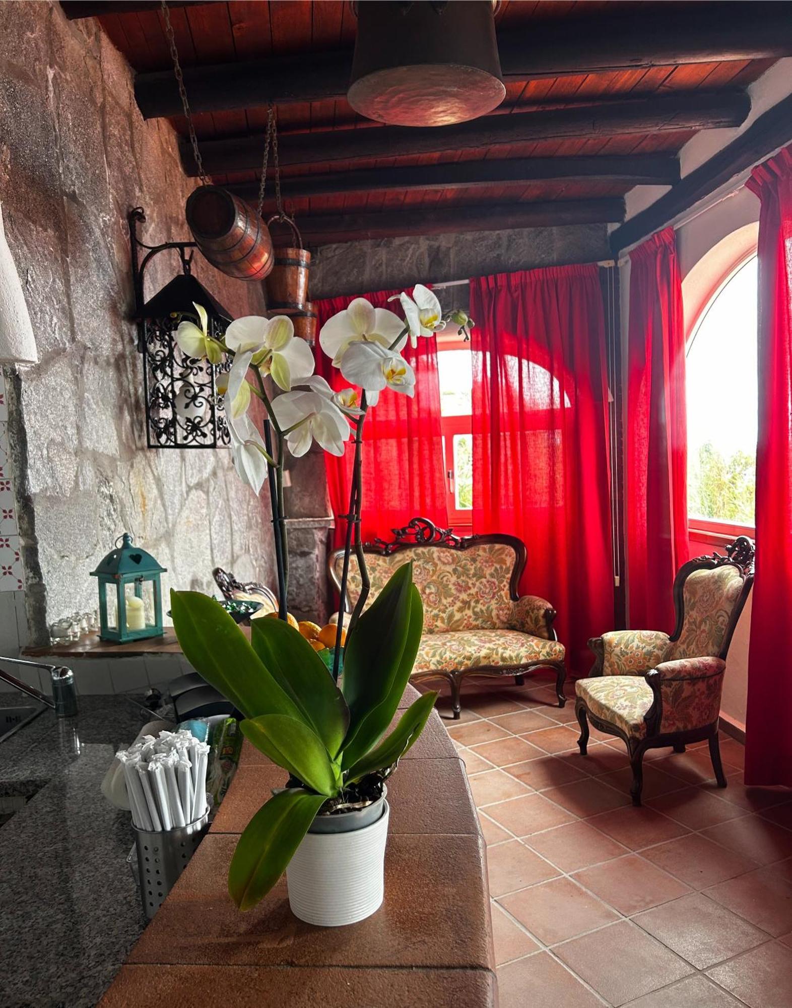 Hotel Punto Azzurro Forio di Ischia Eksteriør billede