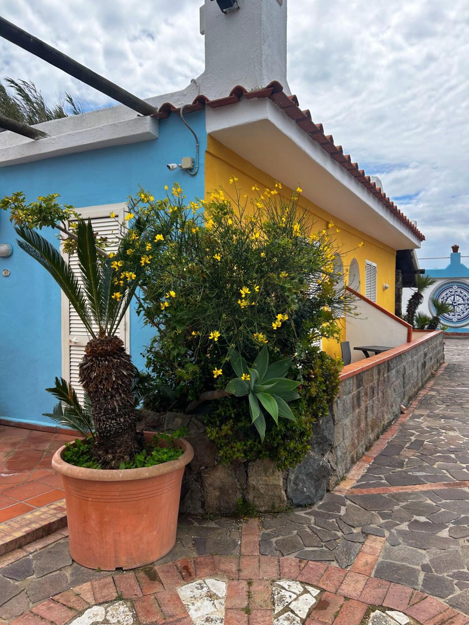 Hotel Punto Azzurro Forio di Ischia Eksteriør billede