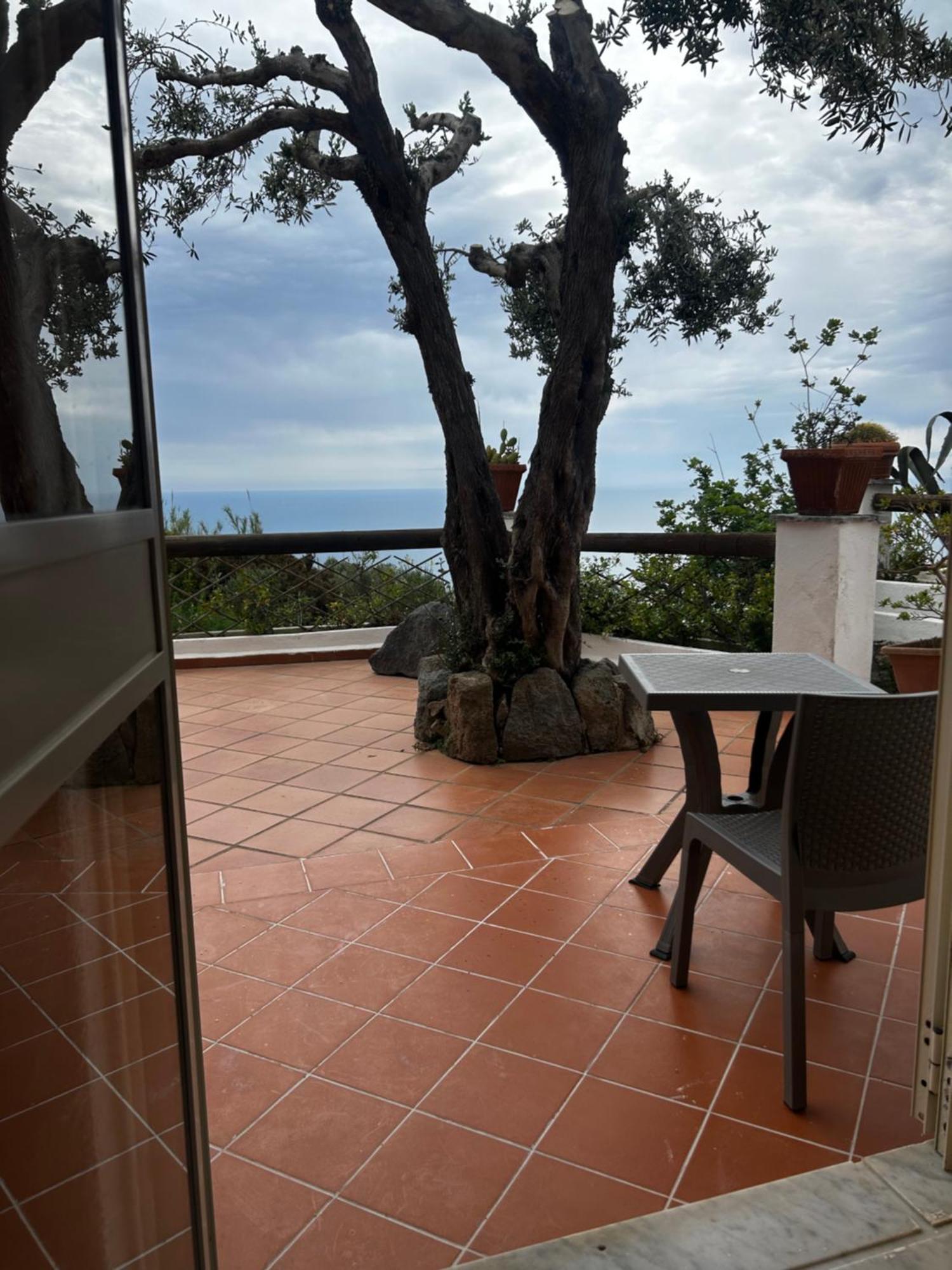 Hotel Punto Azzurro Forio di Ischia Eksteriør billede