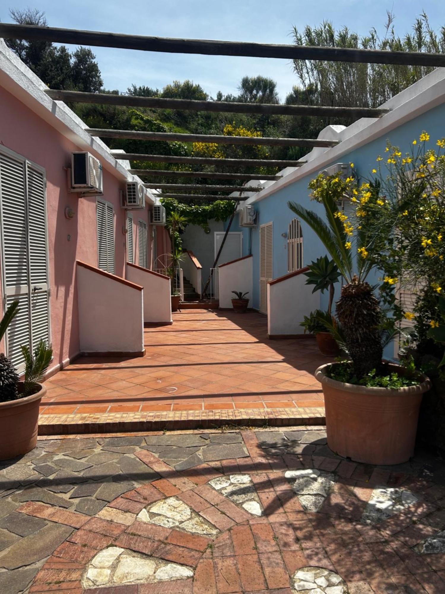 Hotel Punto Azzurro Forio di Ischia Eksteriør billede