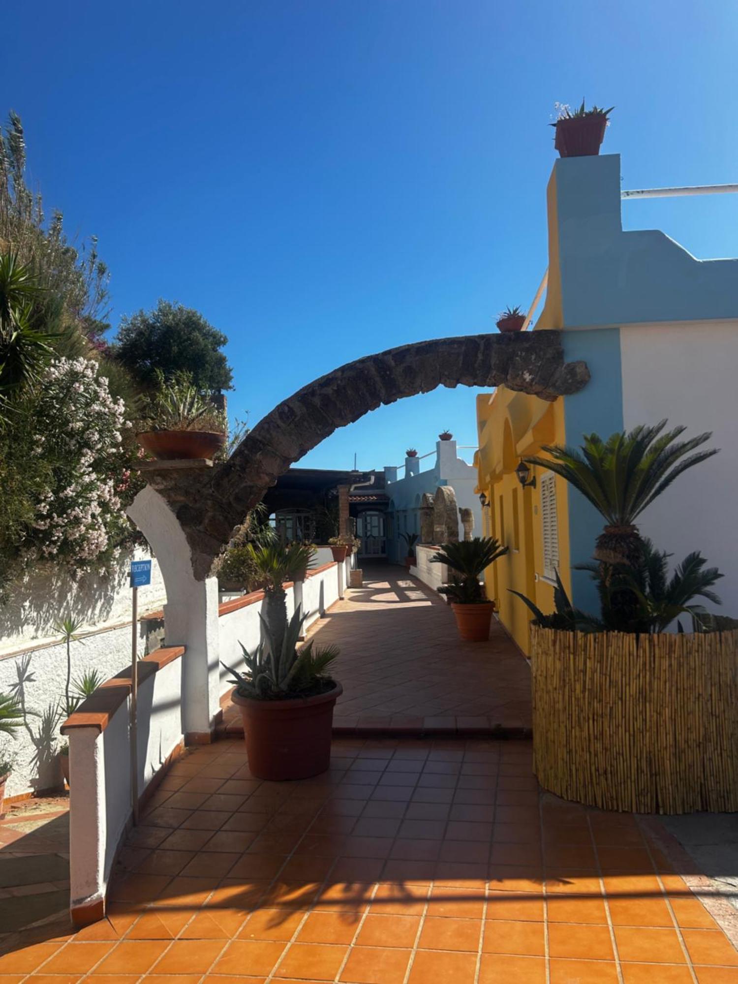 Hotel Punto Azzurro Forio di Ischia Eksteriør billede